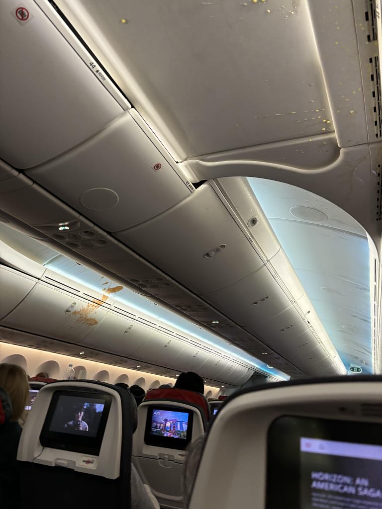 Pictures of food spread across the cabin ceiling.