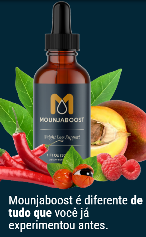 captura de tela 2025 12 18 113520 copia